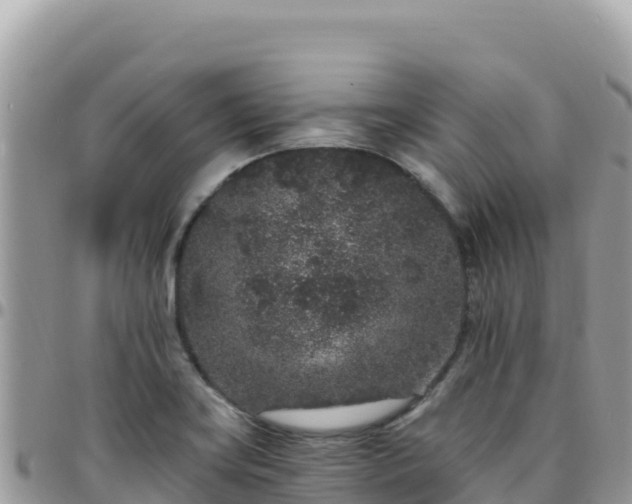X0000095931419200801181430