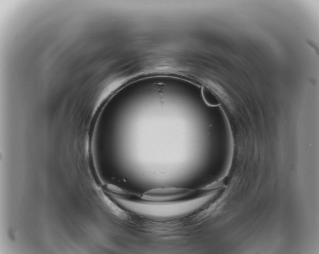 X0000095931420200801181430