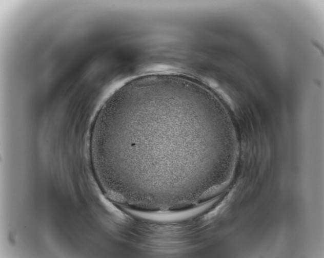 X0000095931421200801181430
