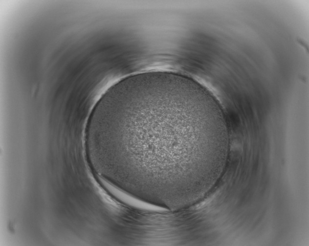X0000095931423200801181430