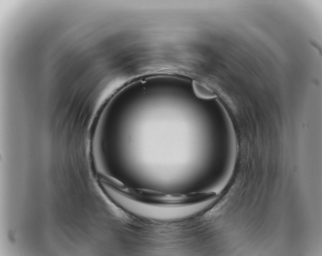 X0000095931424200801181430