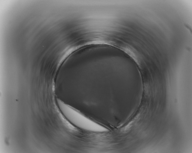 X0000095931428200801181430