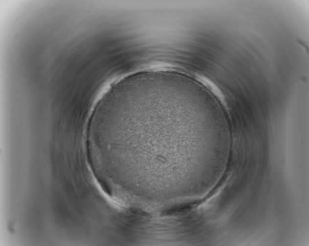 X0000095931429200801181430
