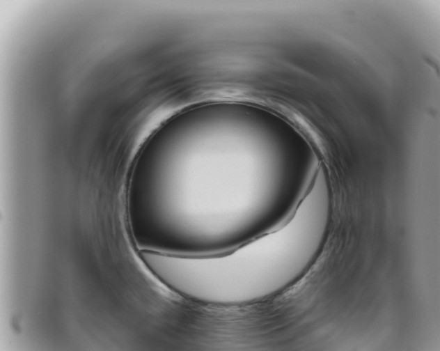 X0000095931432200801181430