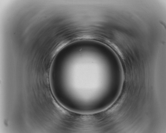 X0000095931433200801181430