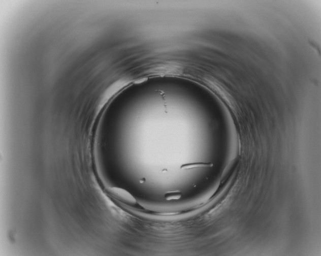 X0000095931434200801181430