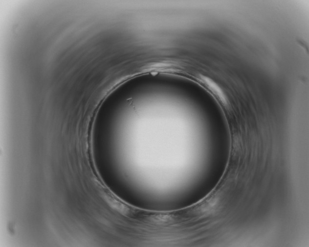 X0000095931435200801181430