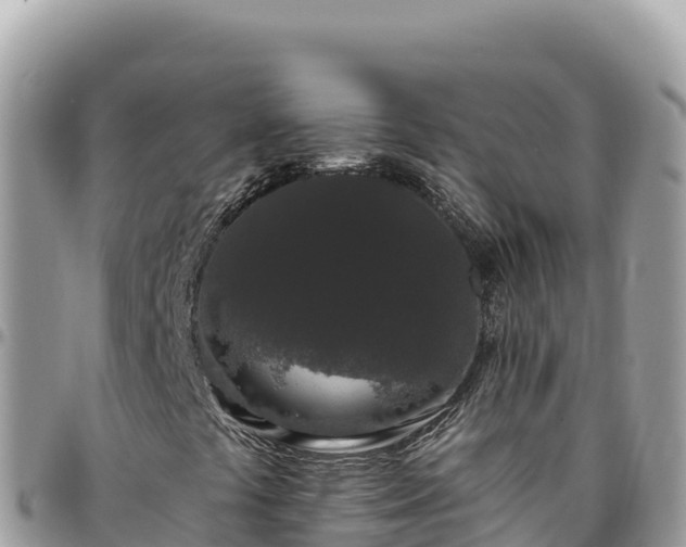 X0000095931441200801181429