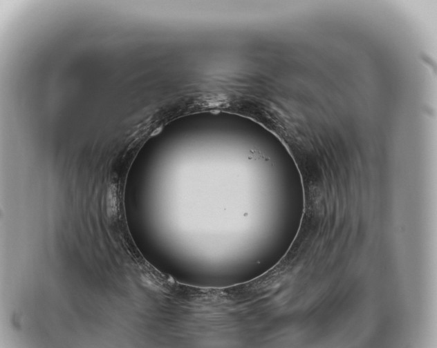 X0000095931442200801181429