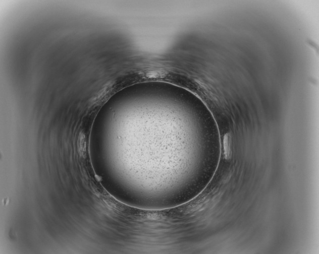 X0000095931443200801181429