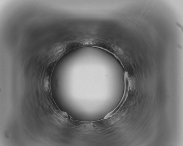 X0000095931444200801181429