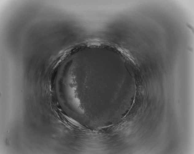 X0000095931445200801181429