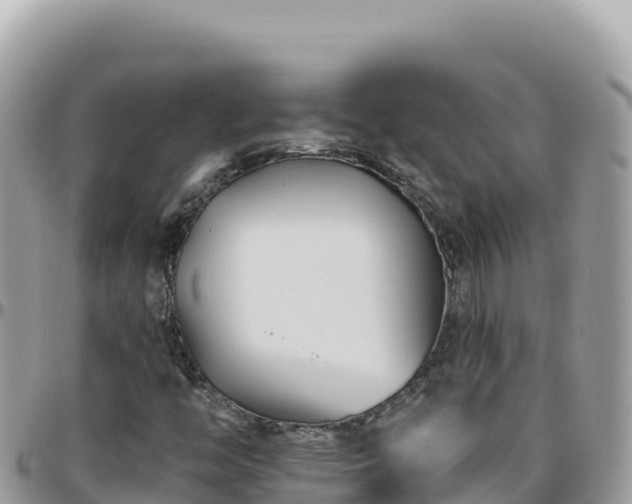 X0000095931446200801181429