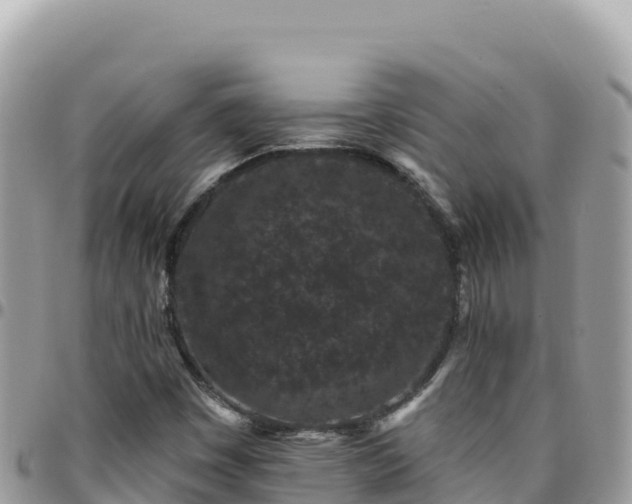 X0000095931449200801181429