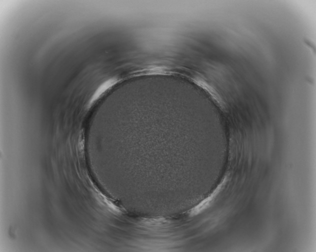 X0000095931450200801181429