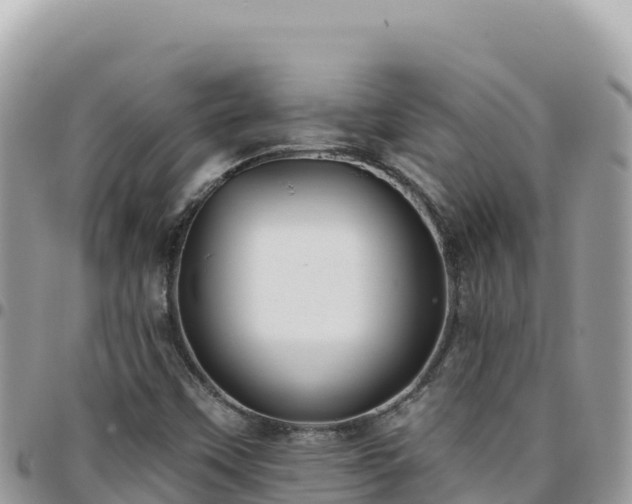 X0000095931451200801181429