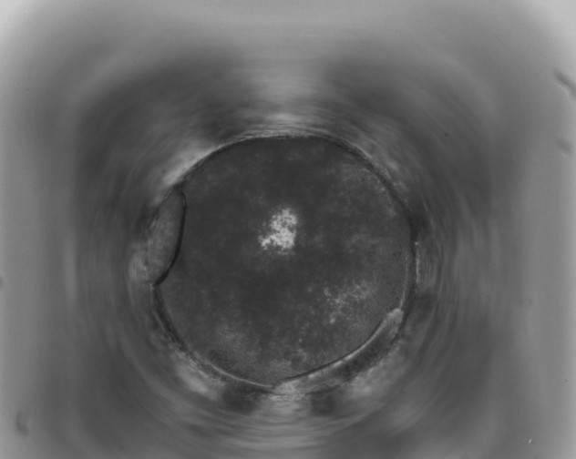 X0000095931453200801181429