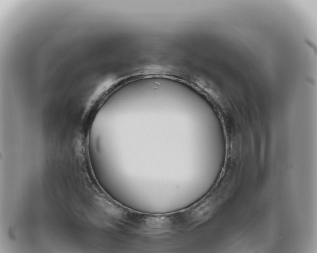 X0000095931454200801181429