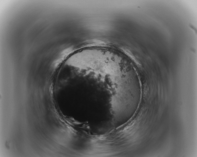 X0000095931455200801181429