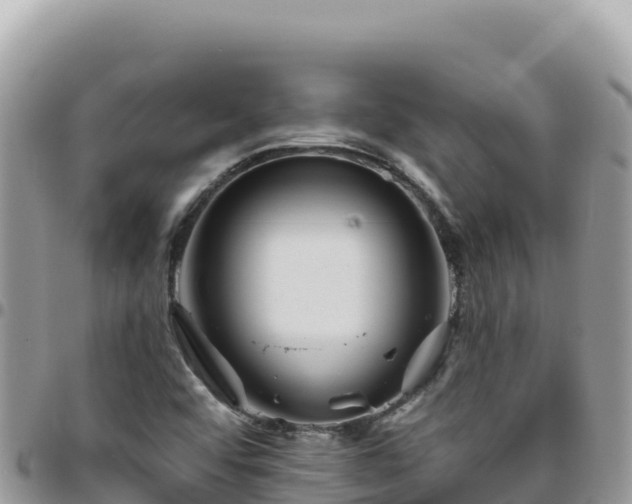 X0000095931456200801181429