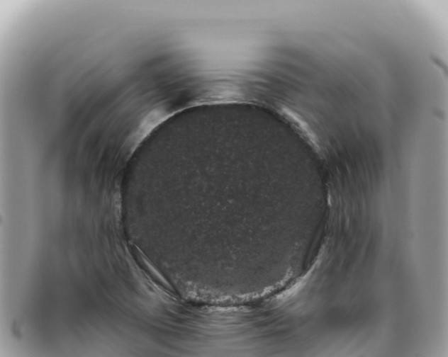 X0000095931457200801181429
