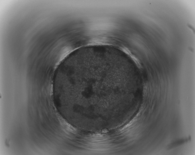 X0000095931459200801181429