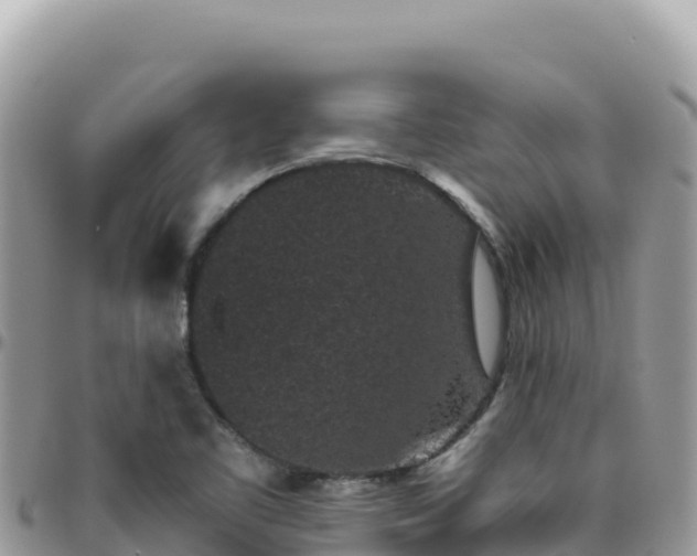 X0000095931461200801181429