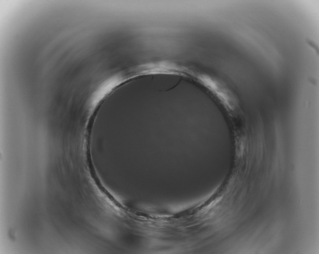 X0000095931463200801181429