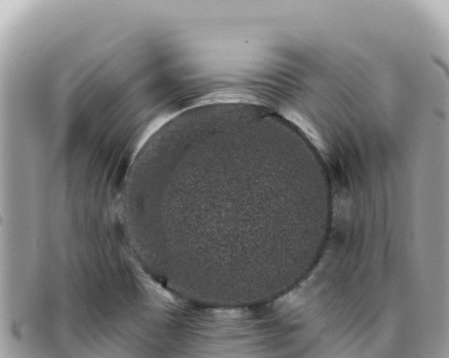 X0000095931465200801181429