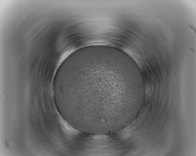 X0000095931466200801181429
