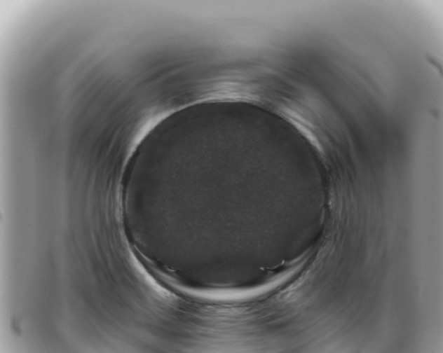 X0000095931468200801181429