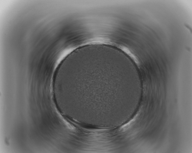 X0000095931469200801181429