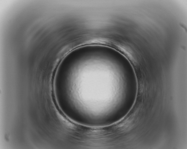X0000095931471200801181429