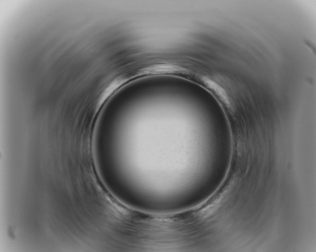 X0000095931473200801181429