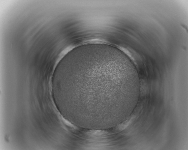 X0000095931474200801181429