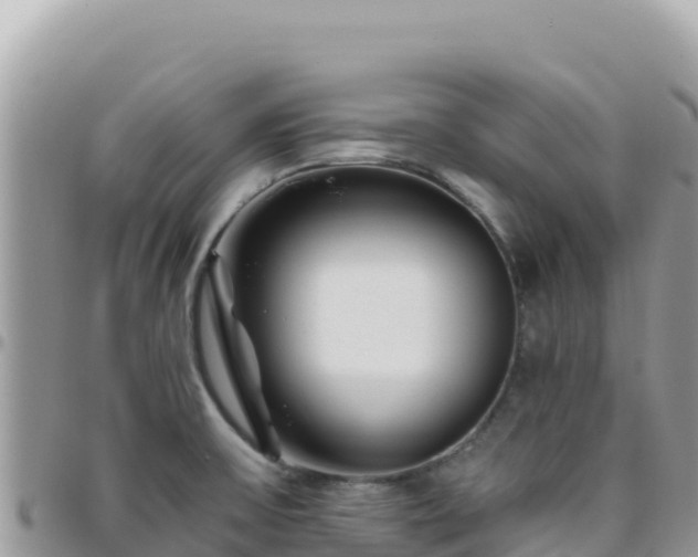X0000095931475200801181429