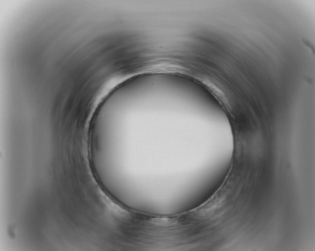 X0000095931478200801181429