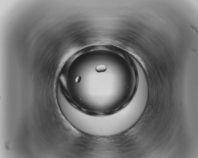 X0000095931480200801181429