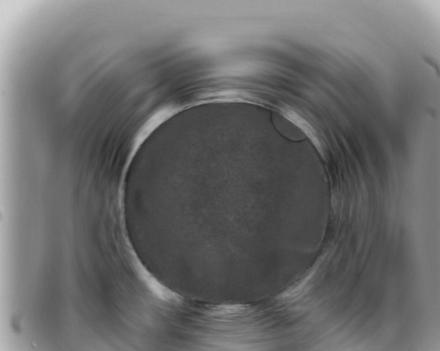 X0000095931482200801181429