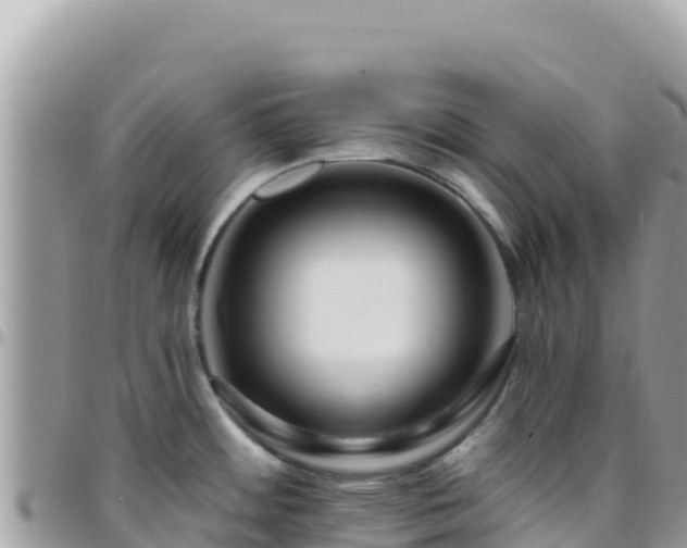 X0000095931484200801181429