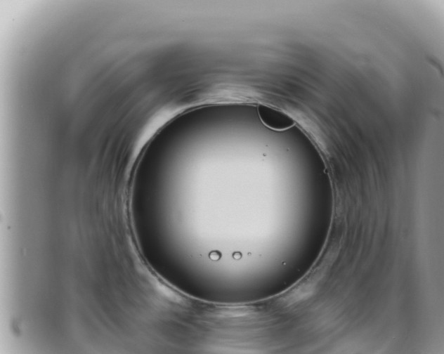 X0000095931486200801181429