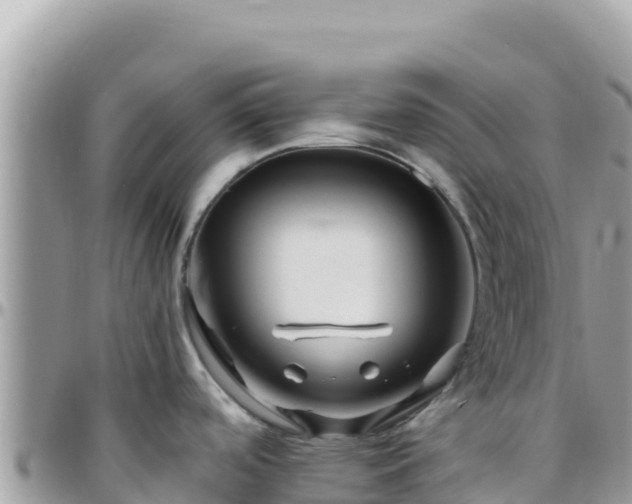 X0000095931488200801181429