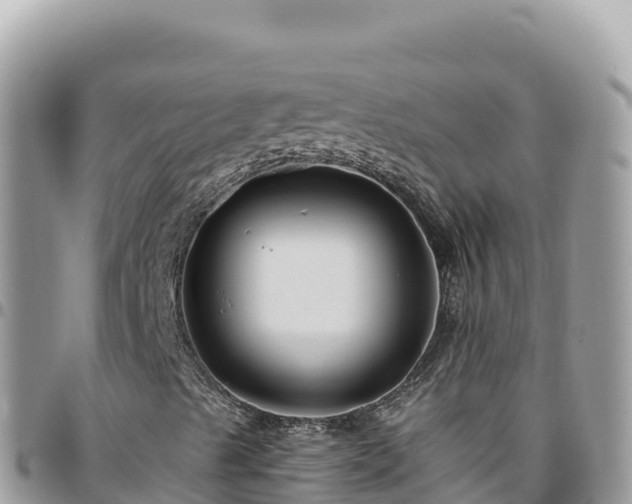 X0000095931489200801181428