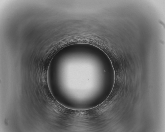 X0000095931490200801181428