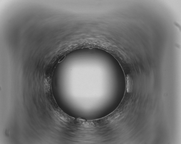 X0000095931491200801181428