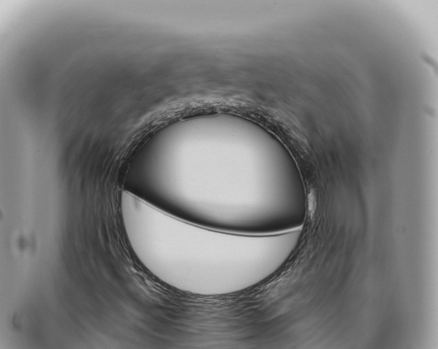 X0000095931492200801181428