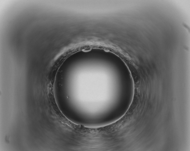 X0000095931495200801181428