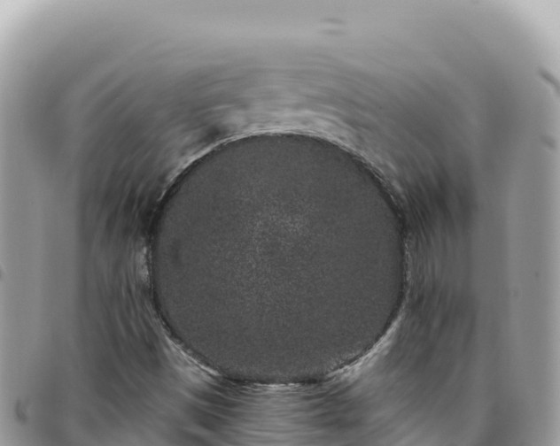 X0000095931497200801181428