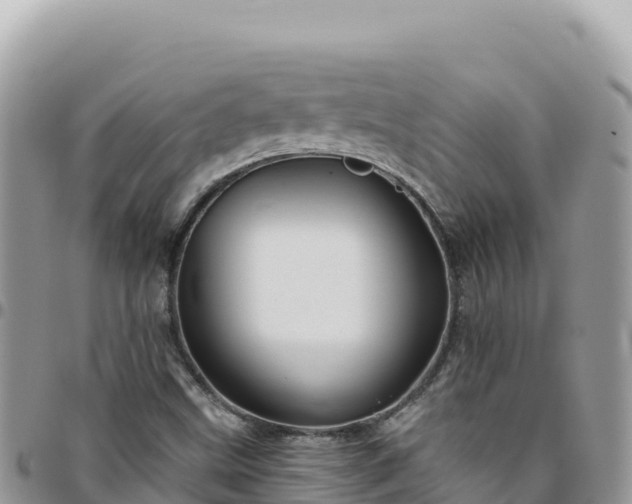 X0000095931499200801181428