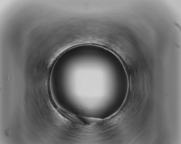 X0000095931500200801181428